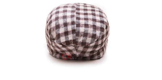 女士靓丽格子秋冬保暖时装帽