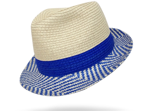 凯维帽业-定型草帽CZ002