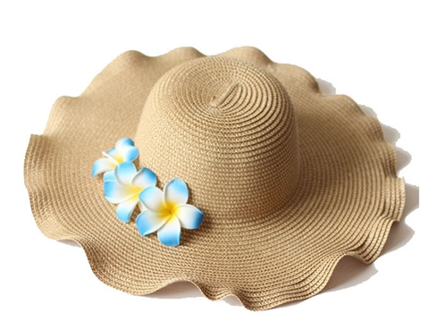 凯维帽业-简约花朵小清新草帽CZ147