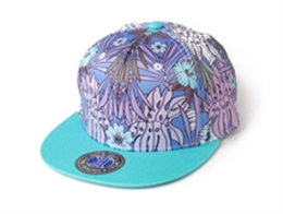 凯维帽业-新款撞色拼接印花嘻哈街舞平板帽 小清新款定做 -PM072