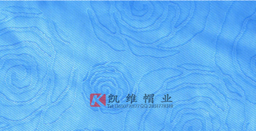简约小清新女款雷锋帽定做