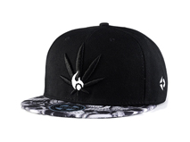 凯维帽业-3D绣花LOGO新款平沿嘻哈街舞帽订制定做 韩版 -PJ150